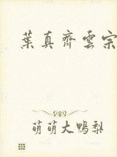 叶真齐云宗免费