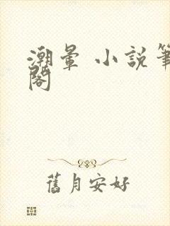 潮晕 小说笔趣阁