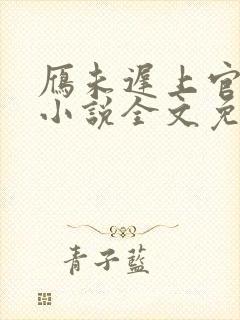 雁未迟上官穿越小说全文免费阅读