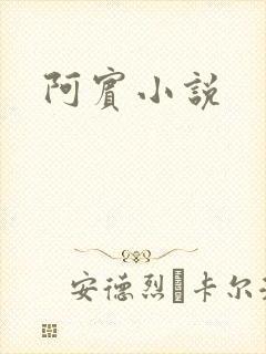 阿宾小说
