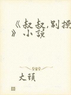 《叔叔,别撩我》小说