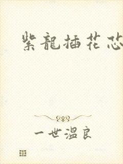 紫龙插花芯方正