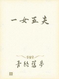 一女五夫封面