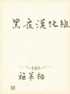 黑夜汉化组