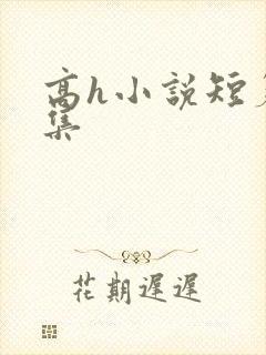 高h小说短篇合集