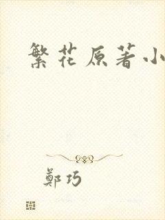 繁花原著小说