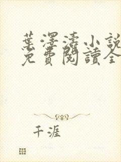 叶泽涛小说全文免费阅读全文封面