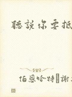 听说你要抵抗我封面