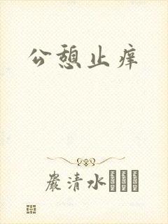 公憩止痒封面
