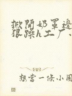 掀开奶罩边躁狠狠躁h工厂小说