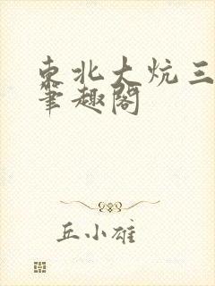 东北大炕三部曲笔趣阁