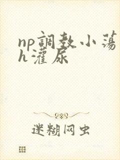 np调教小荡货h灌尿封面