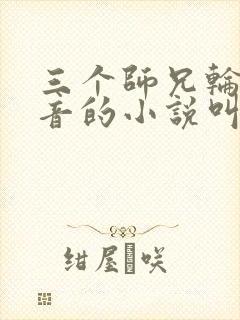 三个师兄轮流上音的小说叫什么