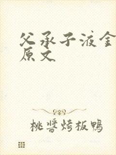 父承子液金银花原文封面