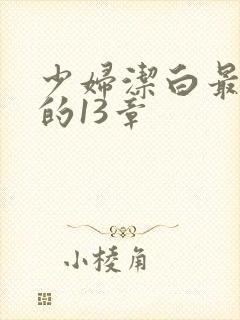 少妇洁白最刺激的13章