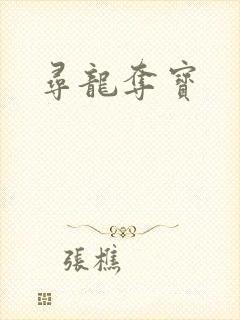 寻龙夺宝