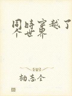 同时穿越了99个世界封面