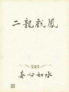 二龙戏凤