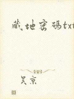 藏地密码txt封面