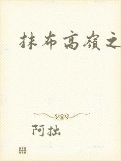 抹布高岭之花封面