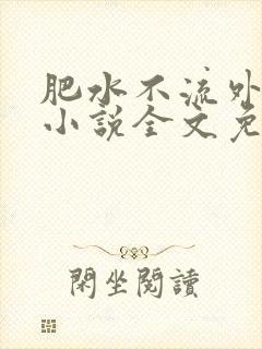 肥水不流外人田小说全文免费阅读1封面