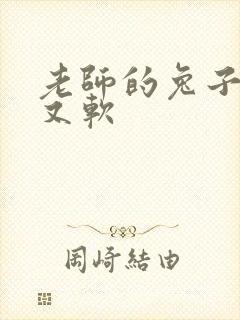 老师的兔子又大又软