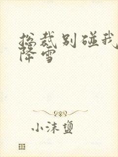 总裁别碰我 韩降雪