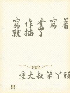 写作业写着写着就插了