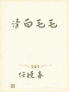 清白毛毛