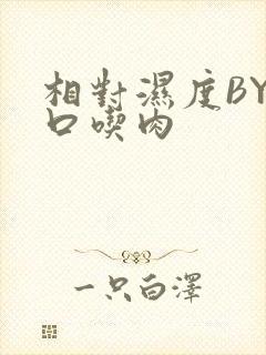 相对湿度BY大口吃肉封面