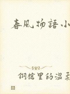 春风物语小说封面