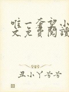 唯一奢望小说全文免费阅读