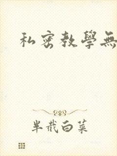 私密教学无删减