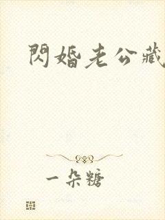 闪婚老公藏不住