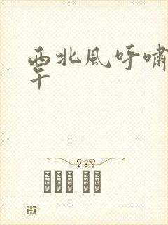 西北风呼啸的中午