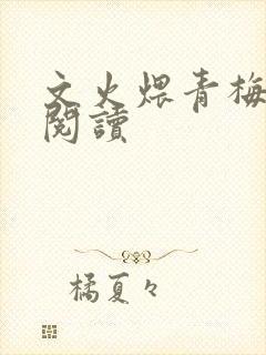 文火煨青梅免费阅读