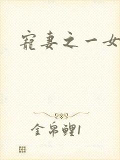 宠妻之一女二夫封面