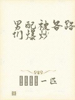 男配被各路大佬们爆炒