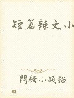 短篇辣文小说封面