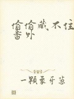 偷偷藏不住新婚番外