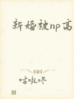 新婚被np高h