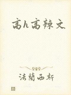 高h高辣文