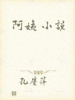 阿姨 小说封面
