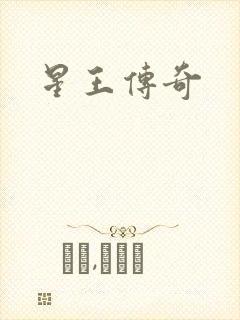 星王传奇封面