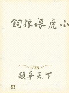 饲狼喂虎小说封面