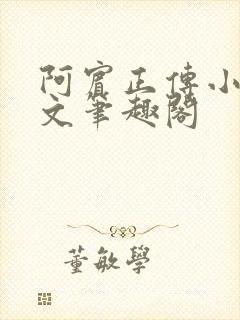 阿宾正传小说全文笔趣阁