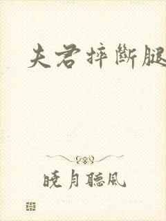 夫君摔断腿后封面