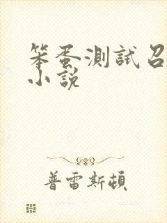 笨蛋测试召唤兽小说封面