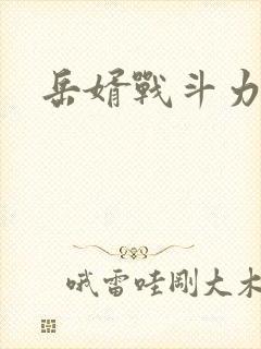 岳婿战斗力封面