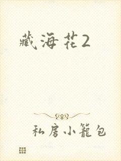 藏海花2